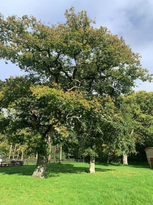 Aspen Leaves: The Perfect Farm Retreat Βίλα Graffham Εξωτερικό φωτογραφία