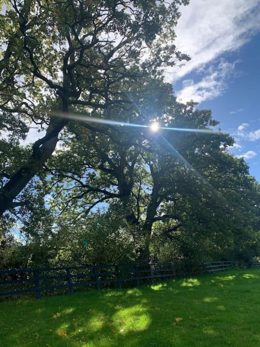 Aspen Leaves: The Perfect Farm Retreat Βίλα Graffham Εξωτερικό φωτογραφία