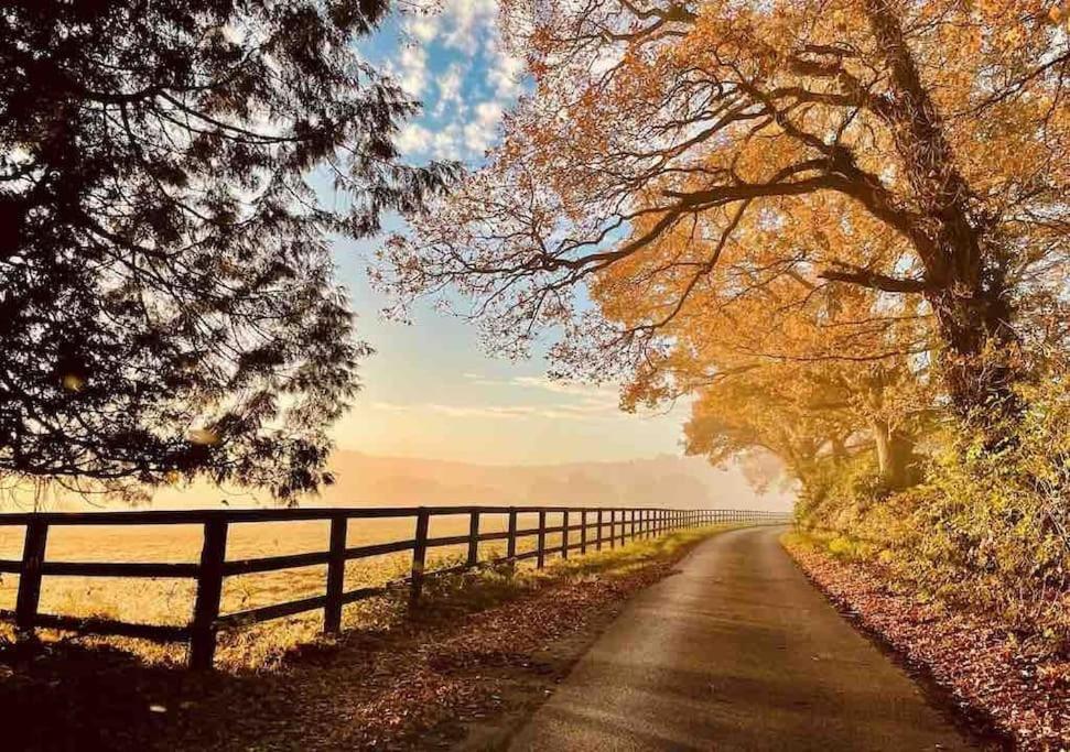 Aspen Leaves: The Perfect Farm Retreat Βίλα Graffham Εξωτερικό φωτογραφία