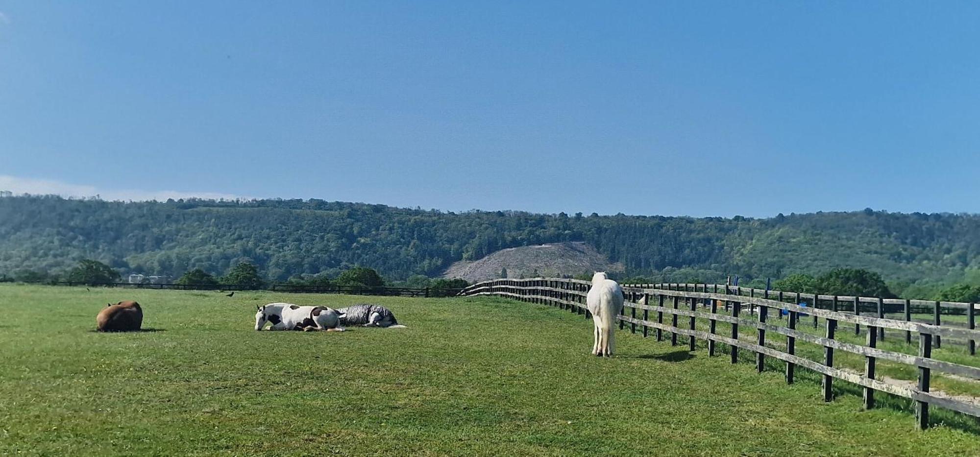 Aspen Leaves: The Perfect Farm Retreat Βίλα Graffham Εξωτερικό φωτογραφία